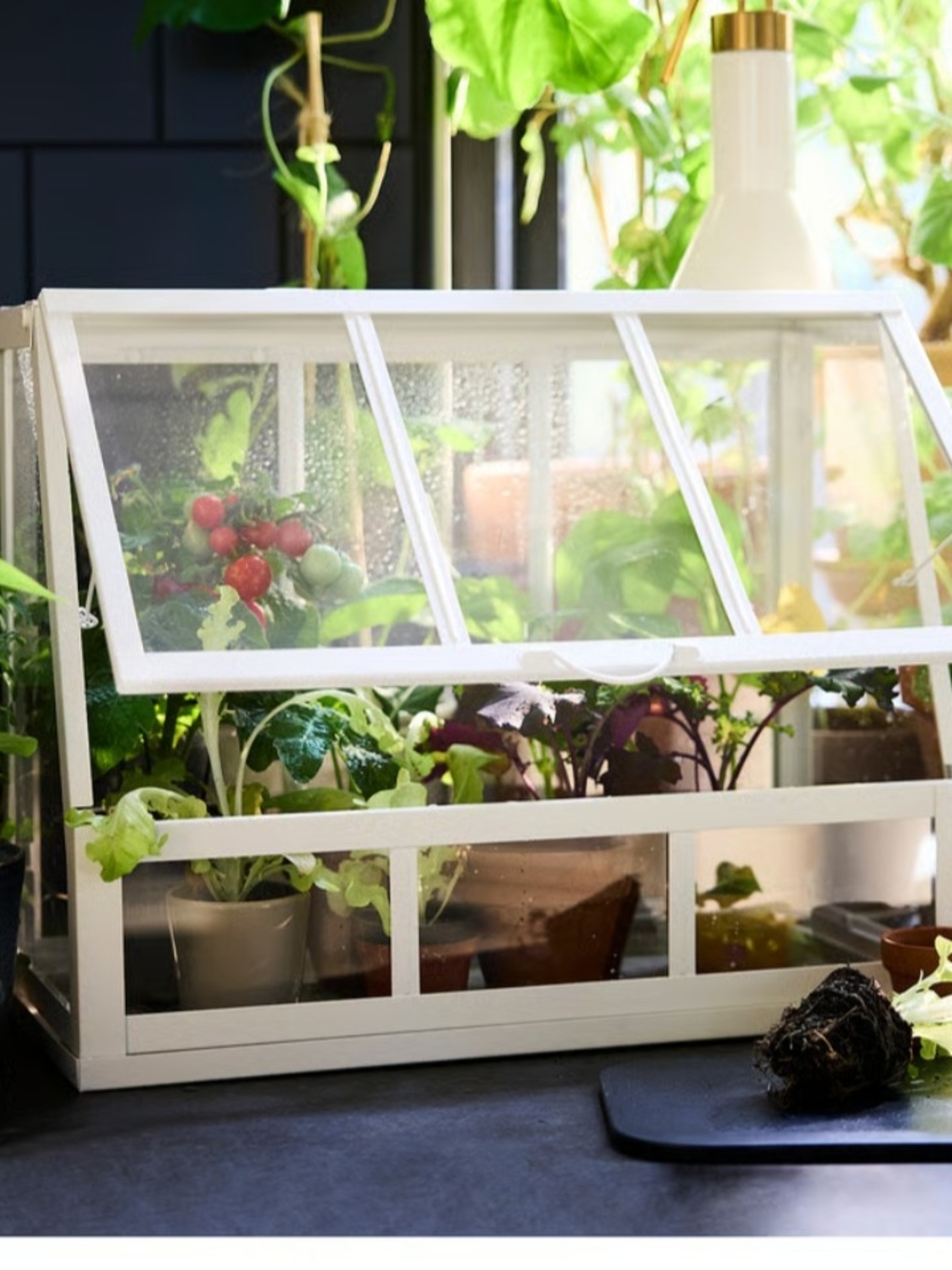 White Indoor Mini Greenhouse Planter Box - IKEA Akerbar Terrarium Used